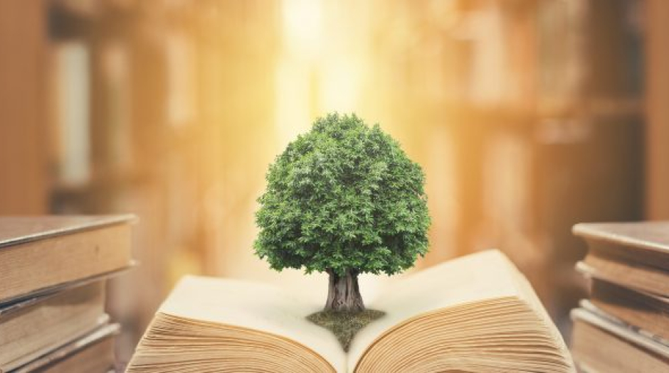 Promoting Green Education: Empowering the Next Generation of Sustainable Builders